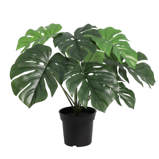 Kunstpflanze Monstera Deliciosa - "Fensterblatt" - ⭥45cm