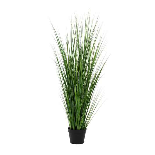 Kunstpflanze Poa Bulbosa - "Zwiebelgras" - ⭥130cm