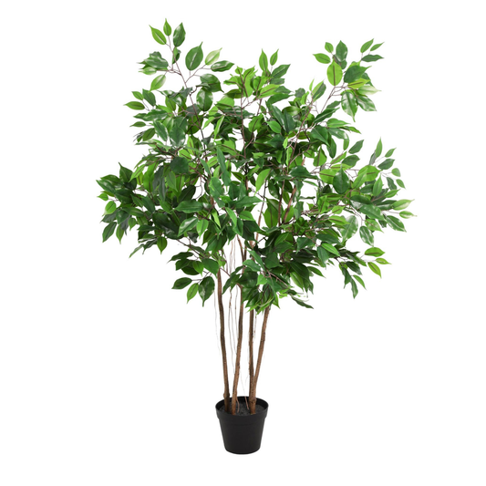 Kunstpflanze Ficus Benjamina - "Birkenfeige" - ⭥130cm