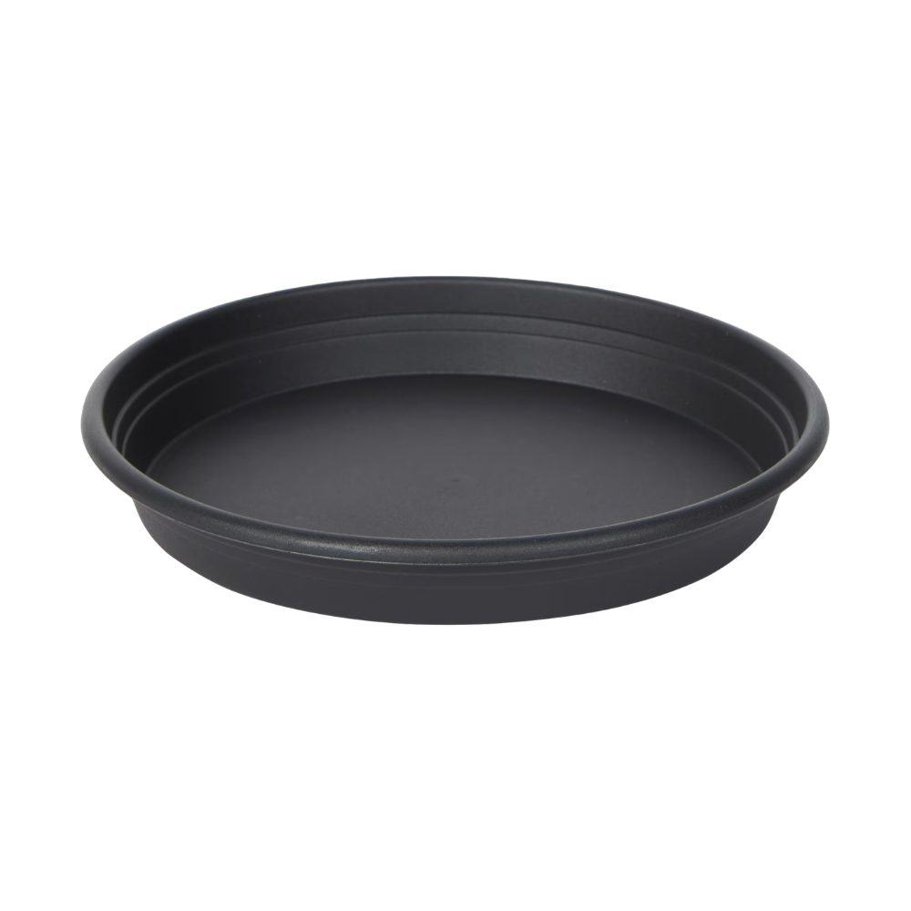 Pflanztopf Basic - Schwarz - inkl. Untersetzer - Ø16cm
