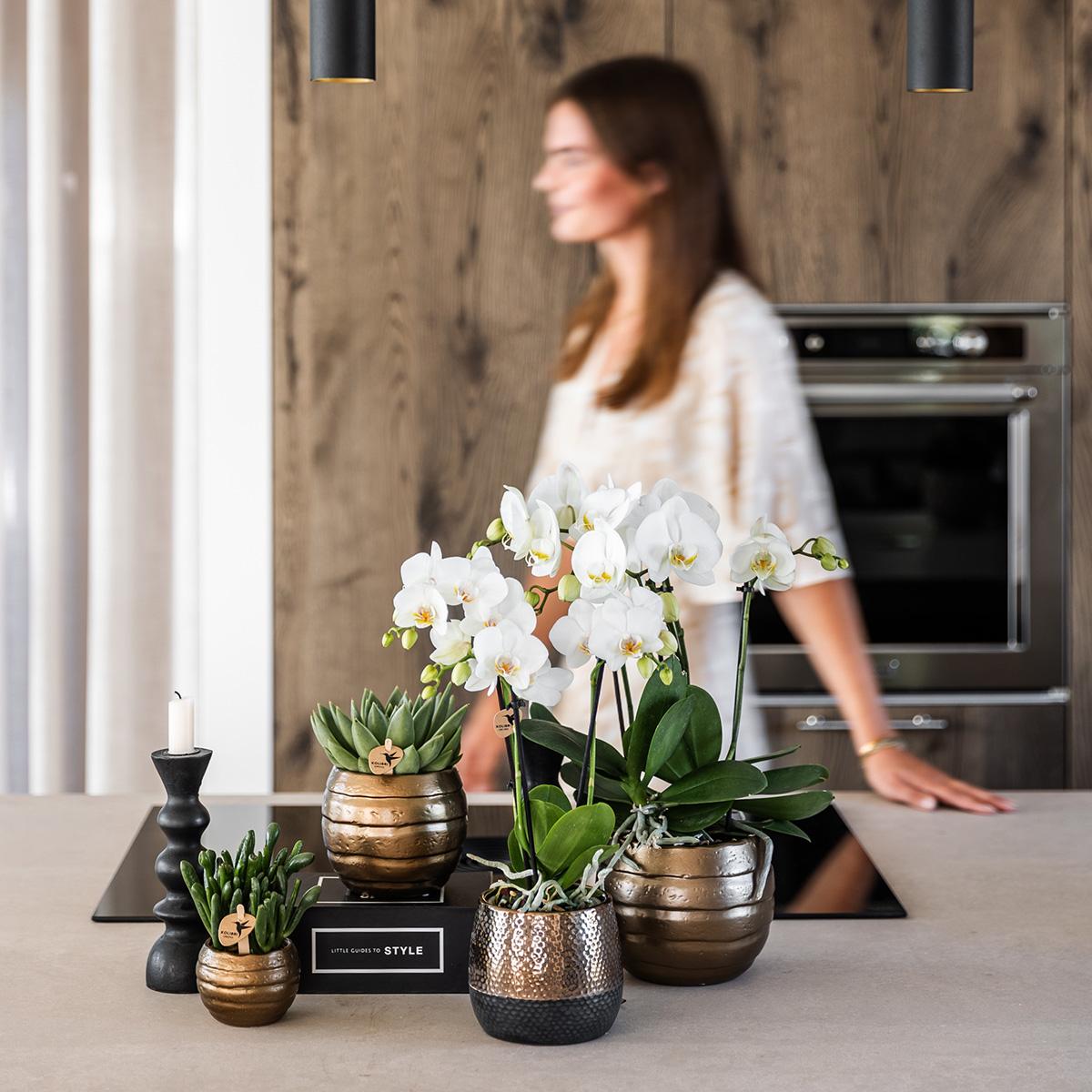 Keramik Pflanztopf Elite - Kupfer - Ø9cm
