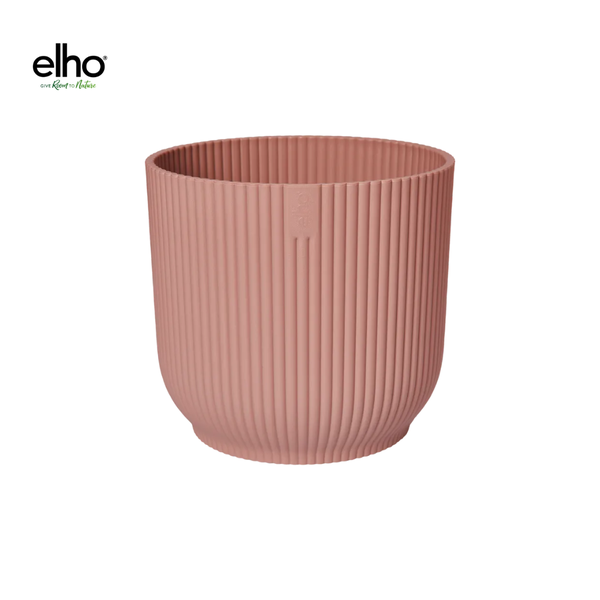 Sansevieria Cylindrica Twist - ⭥40cm - mit Pflanztopf ELHO Vibes in Rosa