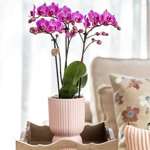 Keramik Pflanztopf Diabolo - Rosa - Ø9cm
