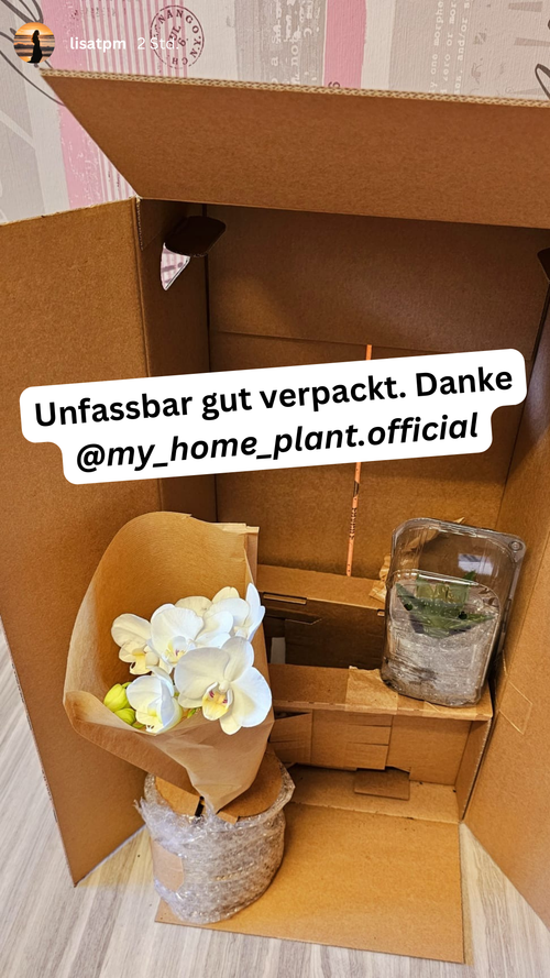 Community Bild