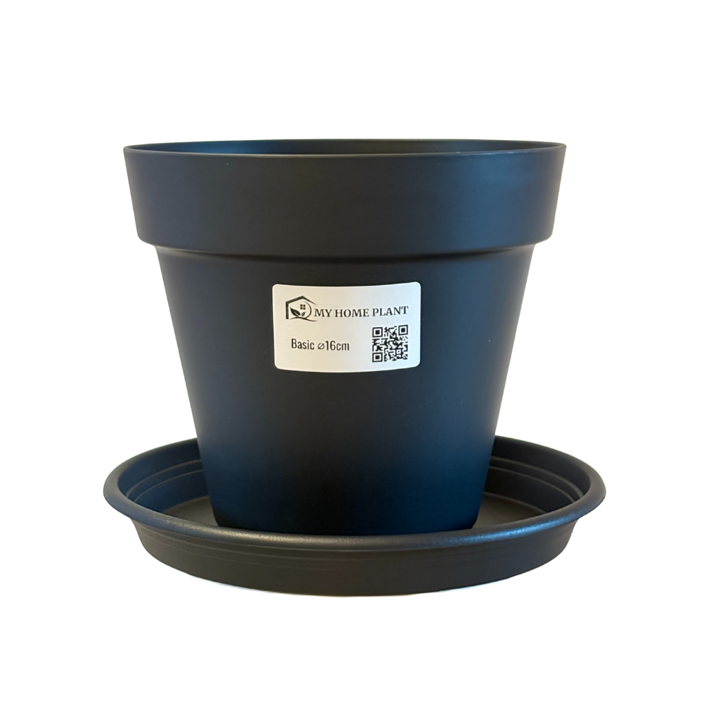 Pflanztopf Basic - Schwarz - inkl. Untersetzer - Ø16cm