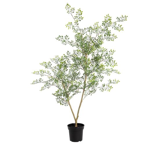 Kunstpflanze Bucida - "Schwarzer Olivenbaum" - ⭥70cm