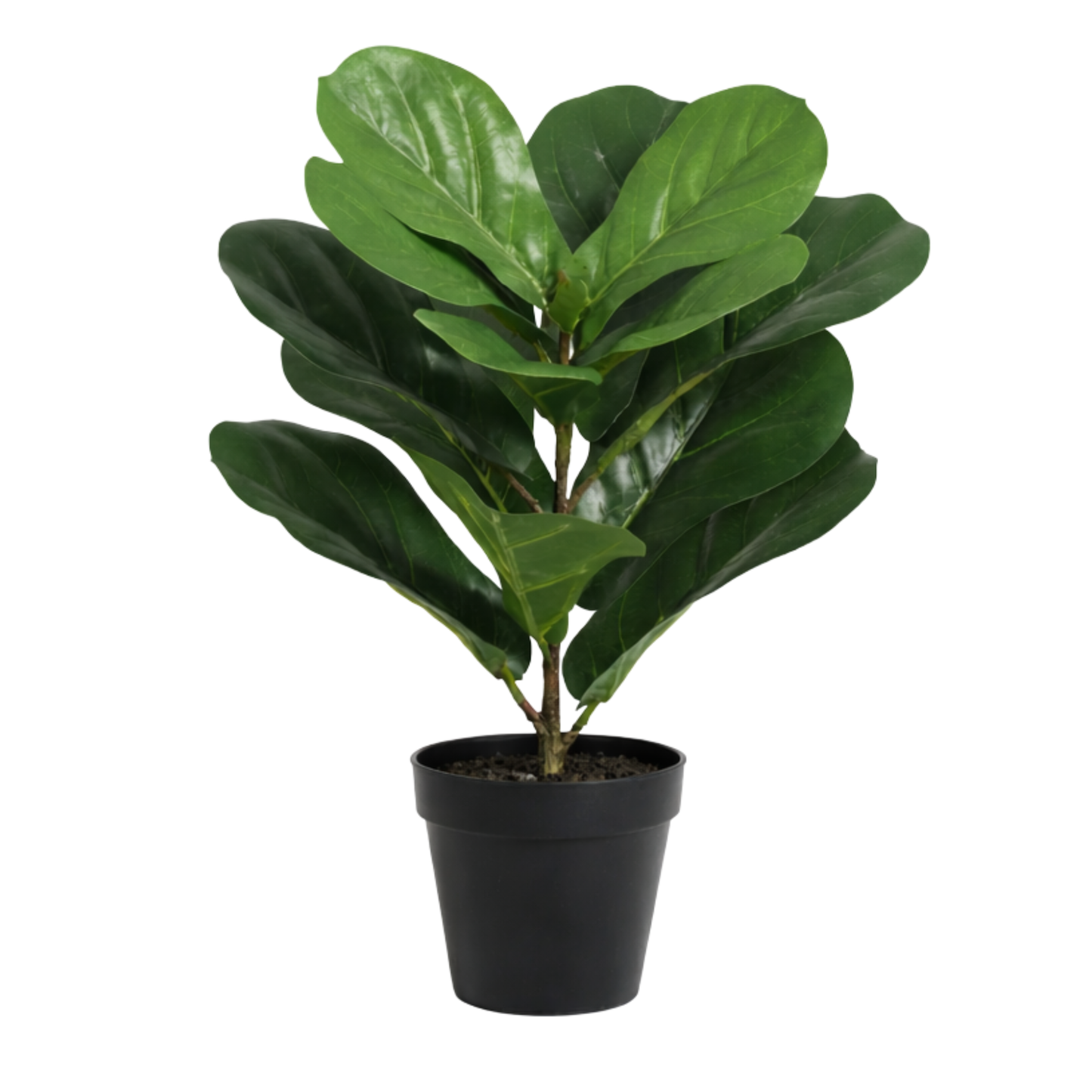 Kunstpflanze Ficus Lyrata - "Geigenfeige" - ⭥40cm