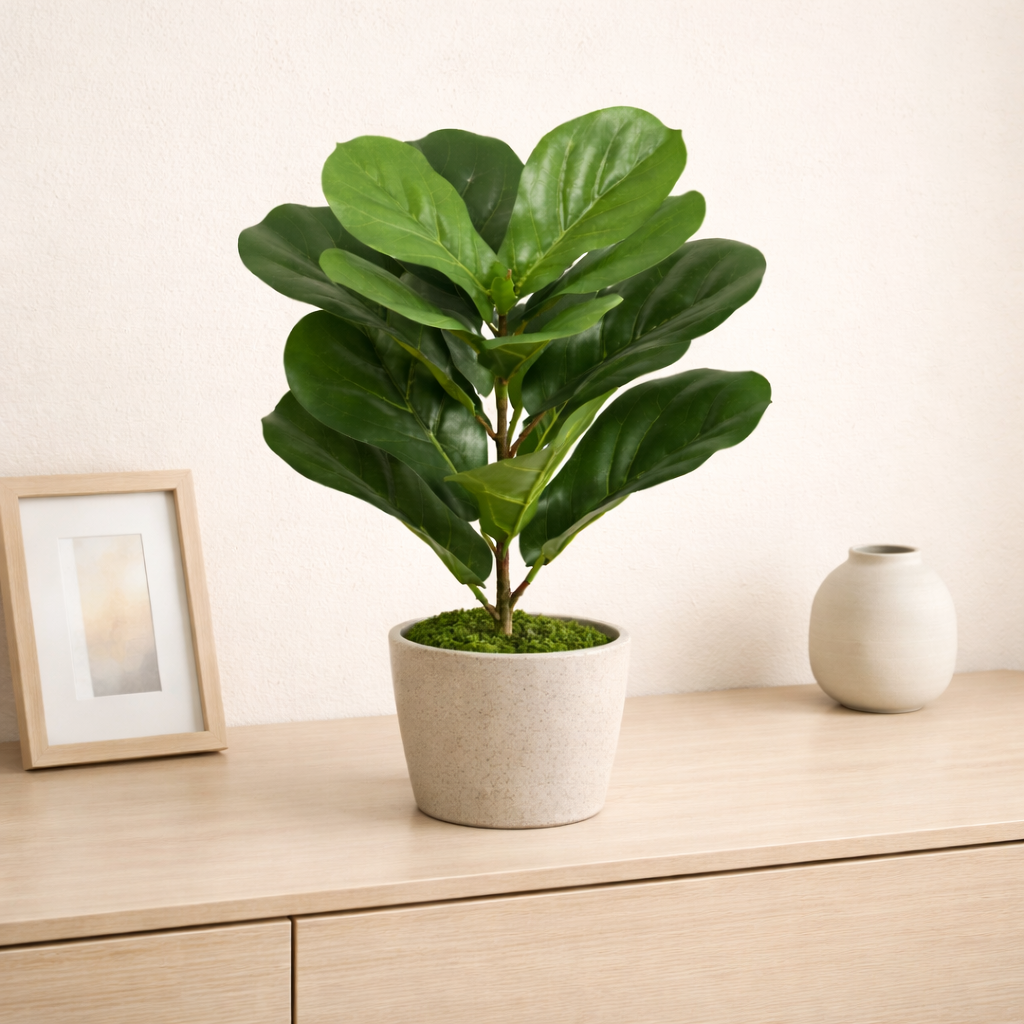 Kunstpflanze Ficus Lyrata - "Geigenfeige" - ⭥40cm