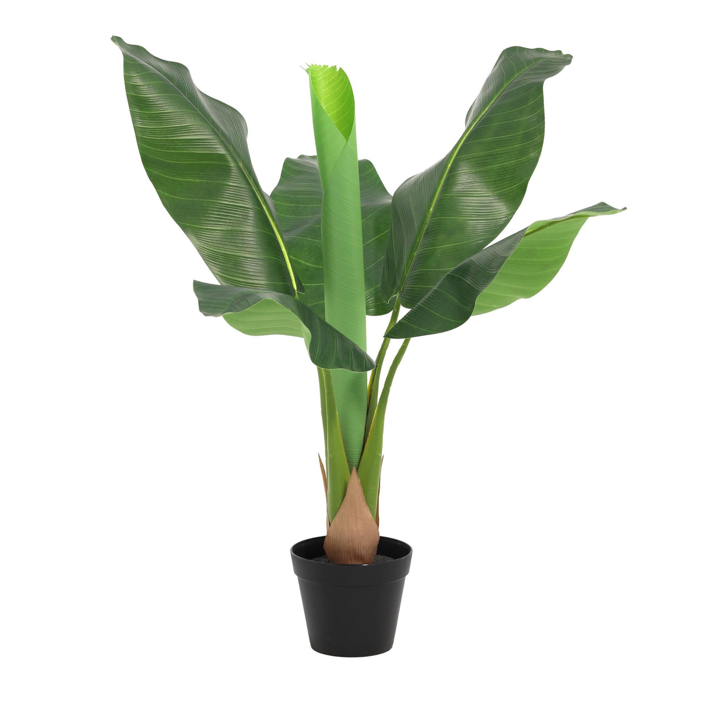 Kunstpflanze Musa - "Bananenpflanze" -  ⭥80cm