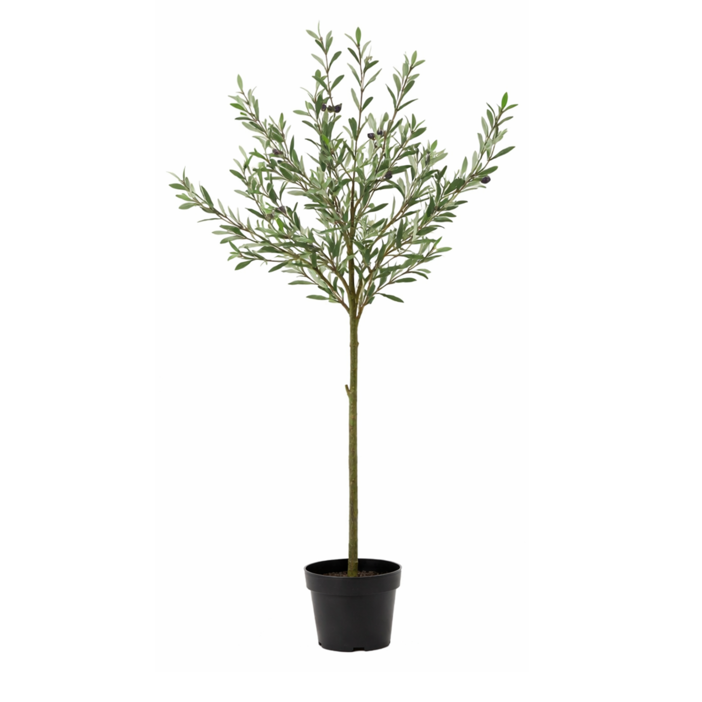 Kunstpflanze Olea Europaea - "Olivenbaum" - ⭥150cm