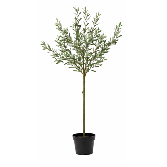 Kunstpflanze Olea Europaea - "Olivenbaum" - ⭥150cm