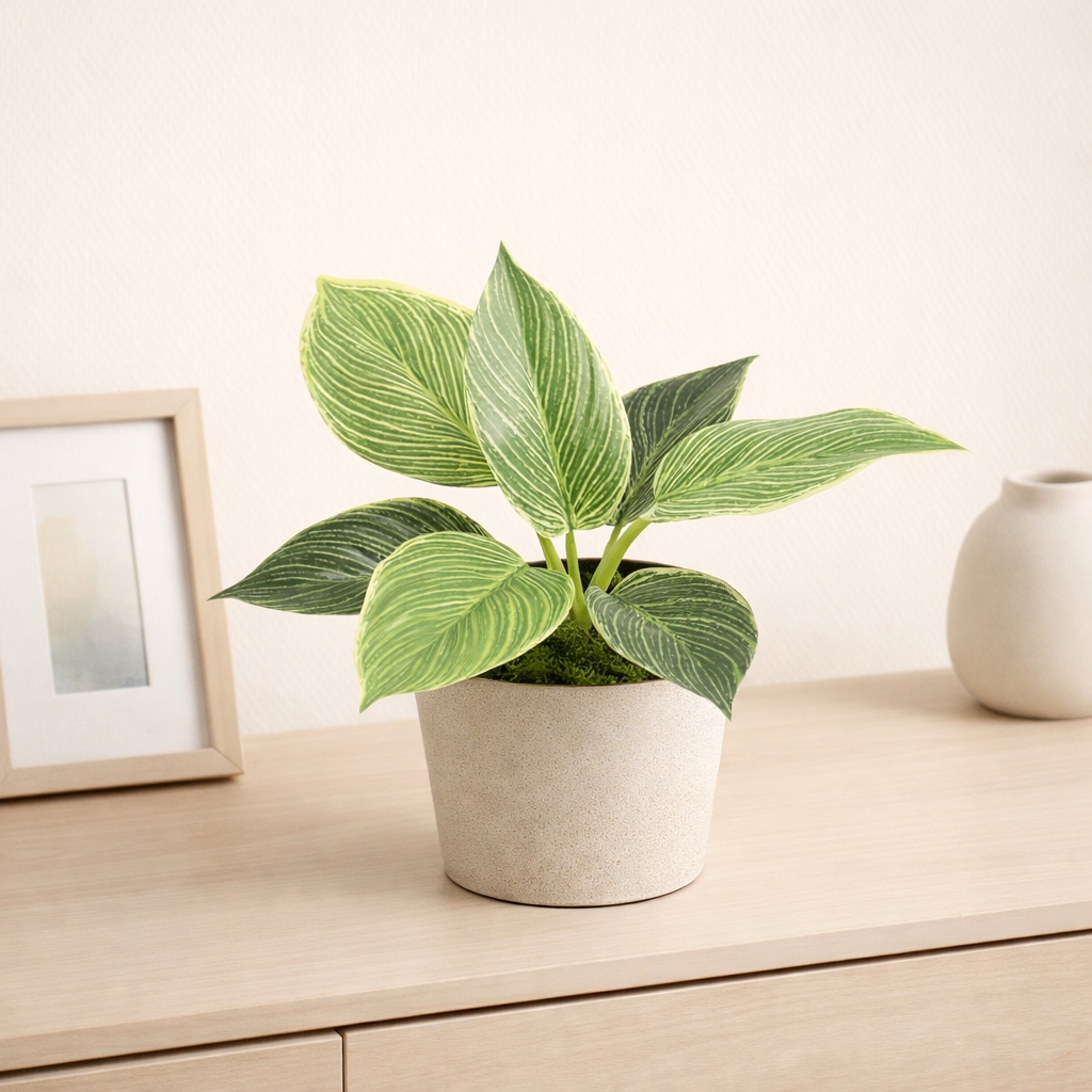 Kunstpflanze Philodendron Birkin - ⭥20cm