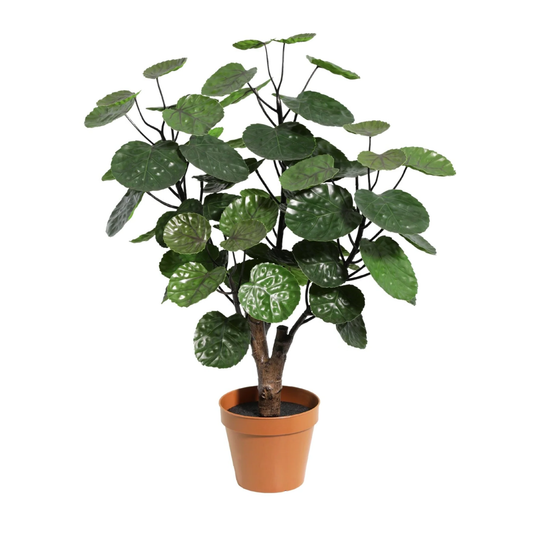 Kunstpflanze Polysicas Fabian - ⭥55cm