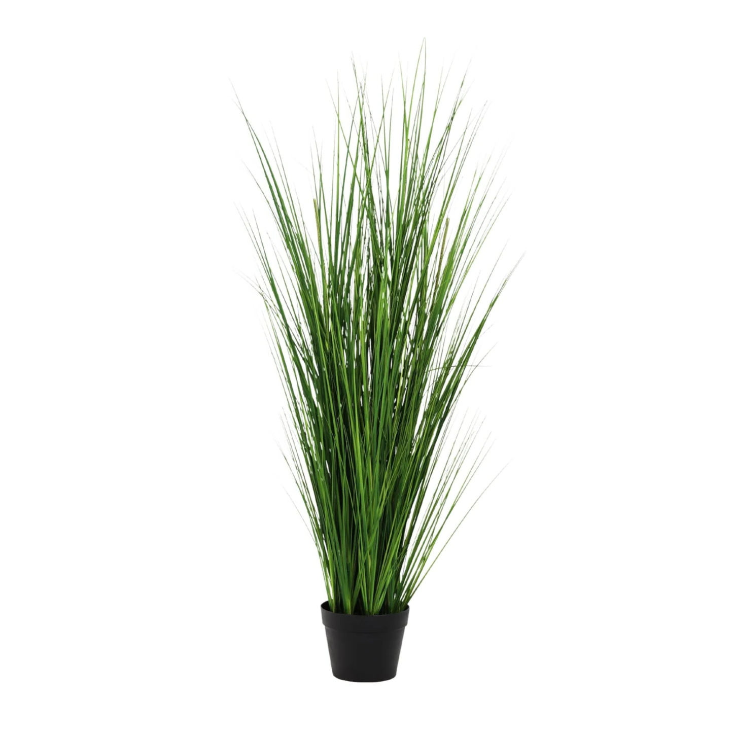 Kunstpflanze Poa Bulbosa - "Zwiebelgras" - ⭥130cm