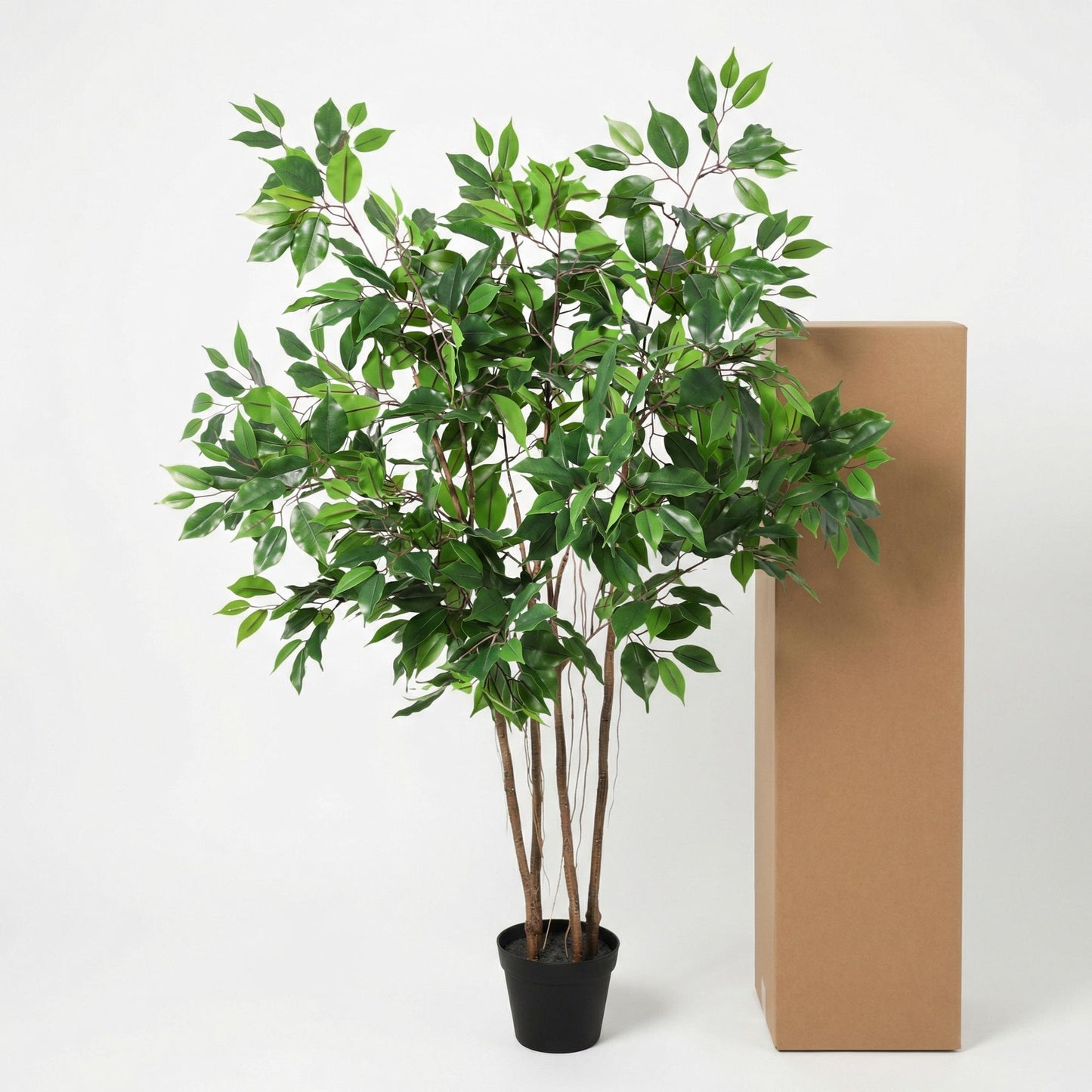 Kunstpflanze Ficus Benjamina - "Birkenfeige" - ⭥130cm