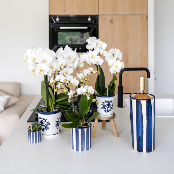 Keramik Pflanztopf Painted Stripe - Blau - Ø6cm