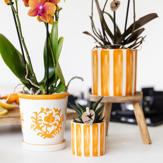 Keramik Pflanztopf Painted Stripe - Orange - Ø9cm