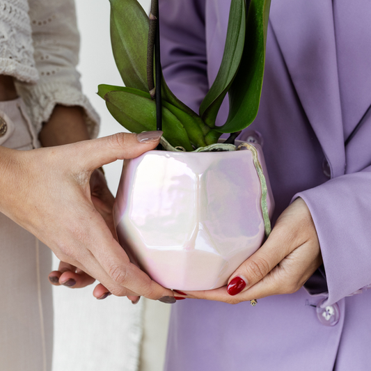 Keramik Pflanztopf Pearl - Rosa - Ø9cm