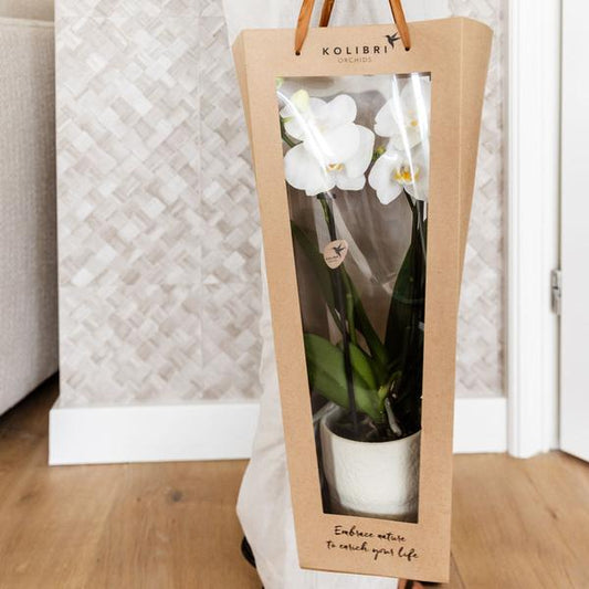 Geschenktasche für Orchidee